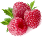 C:\Users\Inna\Desktop\raspberry-clip-art-1.png